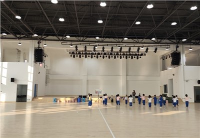 會議擴聲系統(tǒng)優(yōu)化：解決雜音與覆蓋難題，提升會議效率